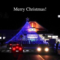 写真句：Merry Christmas !：NTW476