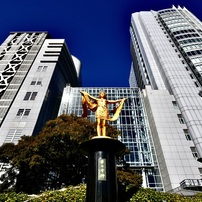 SIGMA(シグマ)のレンズ 10-20mm F3.5 EX DC HSM (ニコン用) で撮影した