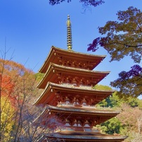 20231123長谷寺紅葉