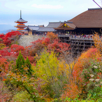 20231126清水寺紅葉