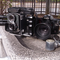 RICOH(リコー)のデジタルカメラRICOH GX200 で撮影した写真(画像)一覧