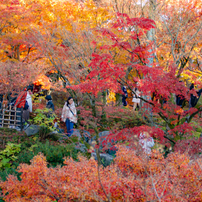 20231203東福寺