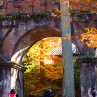 20231204南禅寺