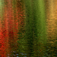 NIKON(ニコン)のレンズ Ai AF Zoom Nikkor ED 80-200mm F2.8D で撮影