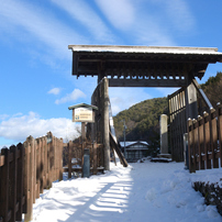 NIKON(ニコン)のレンズ Ai Nikkor 24mm F2S で撮影した写真(画像)一覧