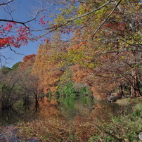 紅葉の三宝池
