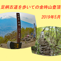 足柄古道を歩いての金時山登頂 2019 A