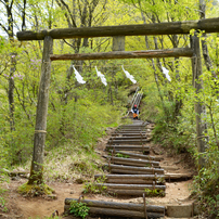 足柄古道を歩いての金時山登頂 2019 B