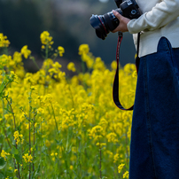 小湊鉄道菜の花5