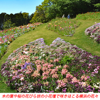 春の里山ガーデンフェスタ in 横浜 2021