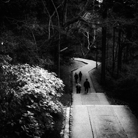 VOIGTLANDER(フォクトレンダー)のフィルムカメラBessa-R2M で撮影した