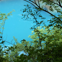 NIKON(ニコン)のレンズ Ai AF Zoom-Nikkor 24-85mm f/2.8-4D IF で撮影