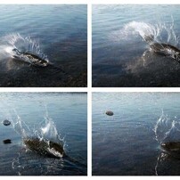 NIKON(ニコン)のデジタルカメラCOOLPIX 5000 で撮影した写真