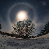 SIGMA(シグマ)のレンズ 15mm F2.8 EX DG DIAGONAL FISHEYE (ﾆｺﾝ AF) で