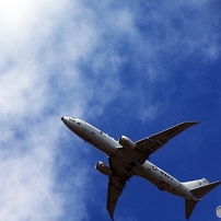 SIGMA(シグマ)のレンズ APO 170-500mm F5-6.3 DG (ﾍﾟﾝﾀｯｸｽ AF) で撮影