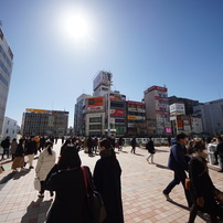 SIGMA(シグマ)のレンズ 8-16mm F4.5-5.6 DC HSM [ソニー用] で撮影した写真(画像)一覧-  写真共有サイト:PHOTOHITO