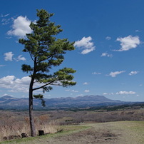 PENTAX Pentax-F フィッシュアイ 17-28mm ズームレンズ Amazon.co.jp: ペンタックス SMC PENTAX-F FISH EYE 17-28mm F3