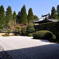 春の一休寺