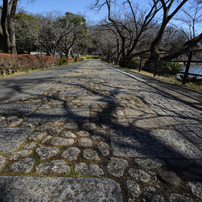 TAMRON(タムロン)のレンズ SP AF 10-24mm F/3.5-4.5 Di II LD