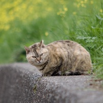 春の視線