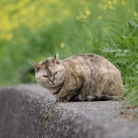 冬から春へ