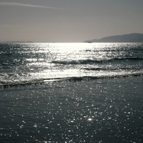 CANON(キヤノン)のデジタルカメラIXY DIGITAL 910 IS で撮影した写真