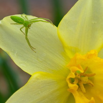 OLYMPUS(オリンパス)のレンズ M.ZUIKO DIGITAL ED 12-50mm F3.5-6.3 EZ
