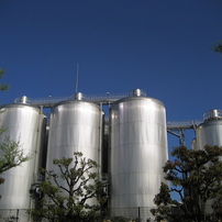 CANON(キヤノン)のデジタルカメラIXY DIGITAL 70 で撮影した写真(画像