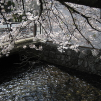 【動作品】Canon IXY digital 70 コンデジ CCD 作例あり 動作品】Canon IXY digital 70 コンデジ CCD 作例あり オールド