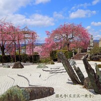 春がいっぱい(園光寺十牛の庭)