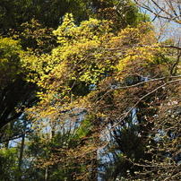P4010167