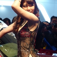 スターダムがウサギ
