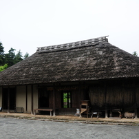 2011年大和　泉の森
