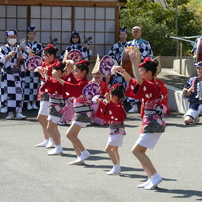 奉納阿波踊り