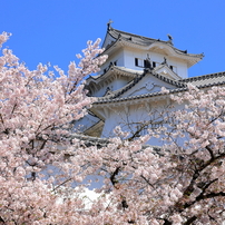 姫路城の写真(画像)・写真集 - 写真共有サイト:PHOTOHITO