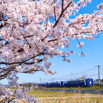 鉄道 Ⅱ  -2024-