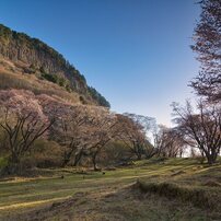 (良品)tokina atx-i 11-16mm F2.8 ニコン (作例添付) TOKINA(トキナー)のレンズ atx-i 11-16mm F2.8 CF [ニコン用] で
