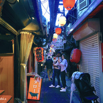 写真エッセイ：東京18：新宿５：〇〇横丁２