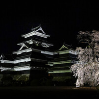 松本城夜桜会　2024年4月14日　-5