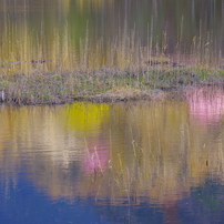 SIGMA(シグマ)のレンズ 50-200mm F4-5.6 DC OS HSM (ペンタックス用) で撮影した写真(画像)一覧-  写真共有サイト:PHOTOHITO