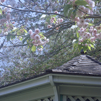 PENTAX(ペンタックス)のデジタルカメラESPIO 80 で撮影した写真(画像