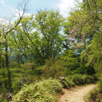 P4250251