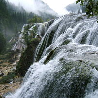 FUJIFILM(富士フイルム)のデジタルカメラFinePix F810 で撮影した写真