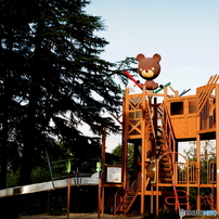 MINOLTA(ミノルタ)のフィルムカメラXD で撮影した写真(画像)一覧- 写真