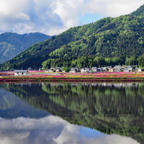 シグマ SIGMA Art 30mm F2.8 DN マイクロフォーサーズ 作例 作例あり】 SIGMA 30mm F2.8 DN | Art 結論から言って大好き