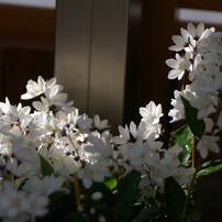 TOKINA(トキナー)のレンズ EMZ 280AF II (ﾍﾟﾝﾀｯｸｽ用) で撮影した写真