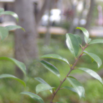 TOKINA(トキナー)のレンズ EMZ 280AF II (ﾍﾟﾝﾀｯｸｽ用) で撮影した写真