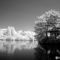 Canon PowerShot A710 IS 【撮影写真あり】 デジカメ Canon PowerShot A710 IS Digital Camera 7.1 Mega Pixel Wide