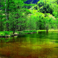 CANON(キヤノン)のレンズ EF28mm F2.8 で撮影した写真(画像)一覧- 写真
