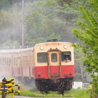 令和6年4月29日 小湊鉄道ほか見聞録